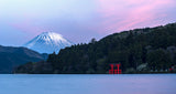 Pink Fuji Poster och Canvastavla
