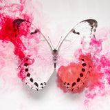 White Morpho Butterfly With Crimson Ink Poster och Canvastavla