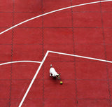 Chasing the ball Poster och Canvastavla