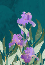 Iris Flower Turquoise Poster och Canvastavla