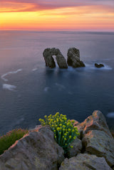 Puerta de mar Poster och Canvastavla