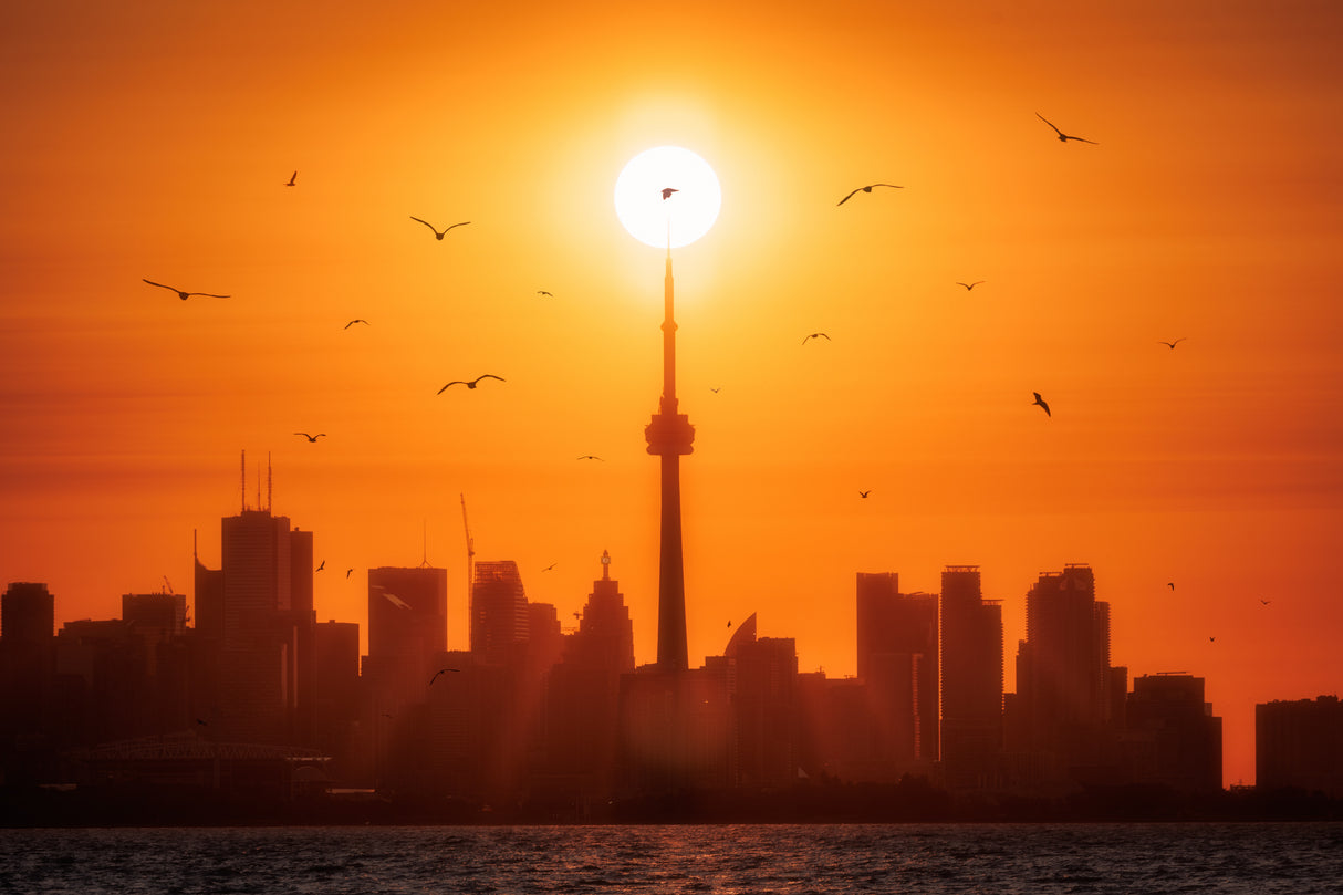 Sun Rising Behind Toronto Poster och Canvastavla