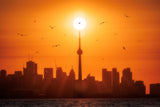 Sun Rising Behind Toronto Poster och Canvastavla