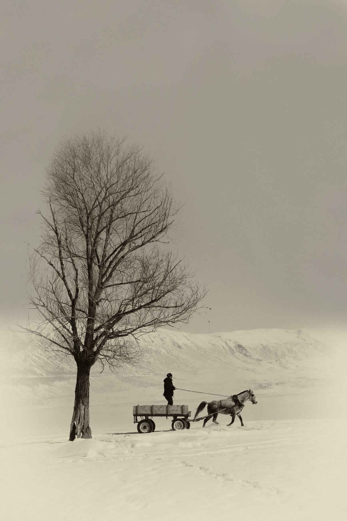 winter Poster och Canvastavla