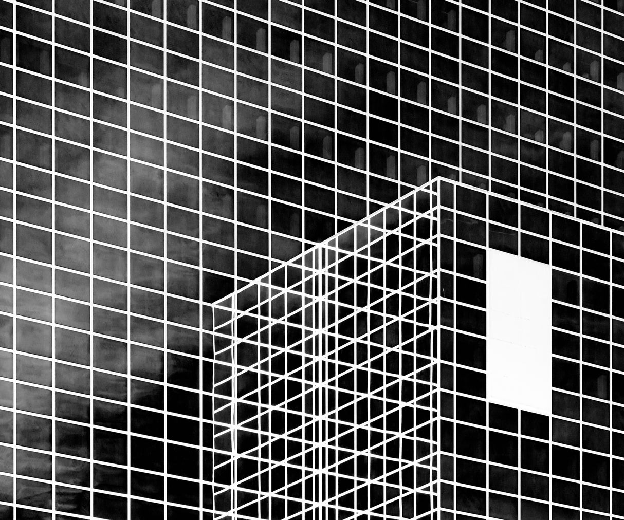 The white rectangle Poster och Canvastavla