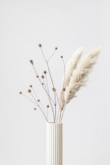 Thistle &amp; Pampas 01 Poster och Canvastavla