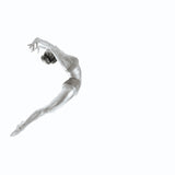 Flight - Gymnastics Series Poster och Canvastavla