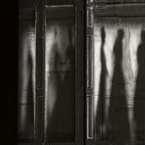 shadows Poster och Canvastavla