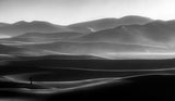 watching the desert Poster och Canvastavla