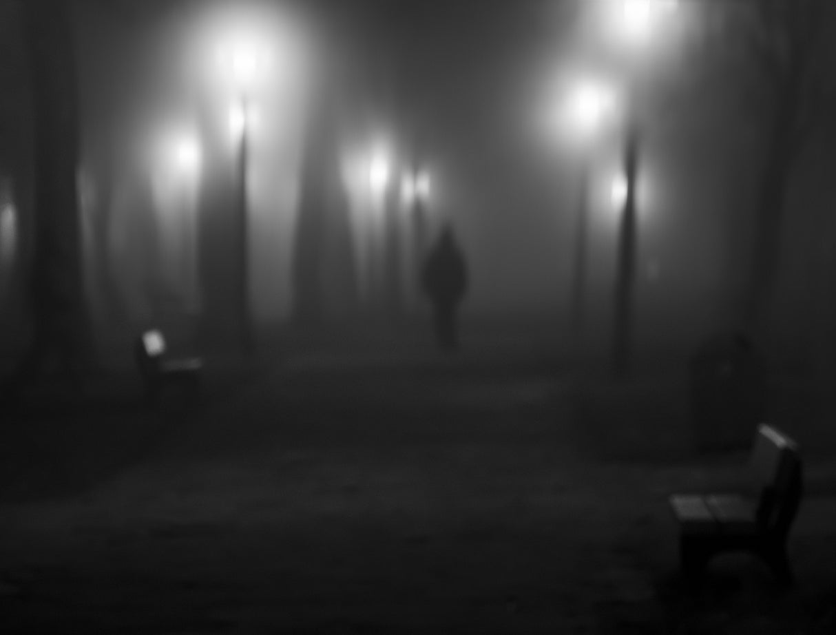 Cold and foggy Poster och Canvastavla