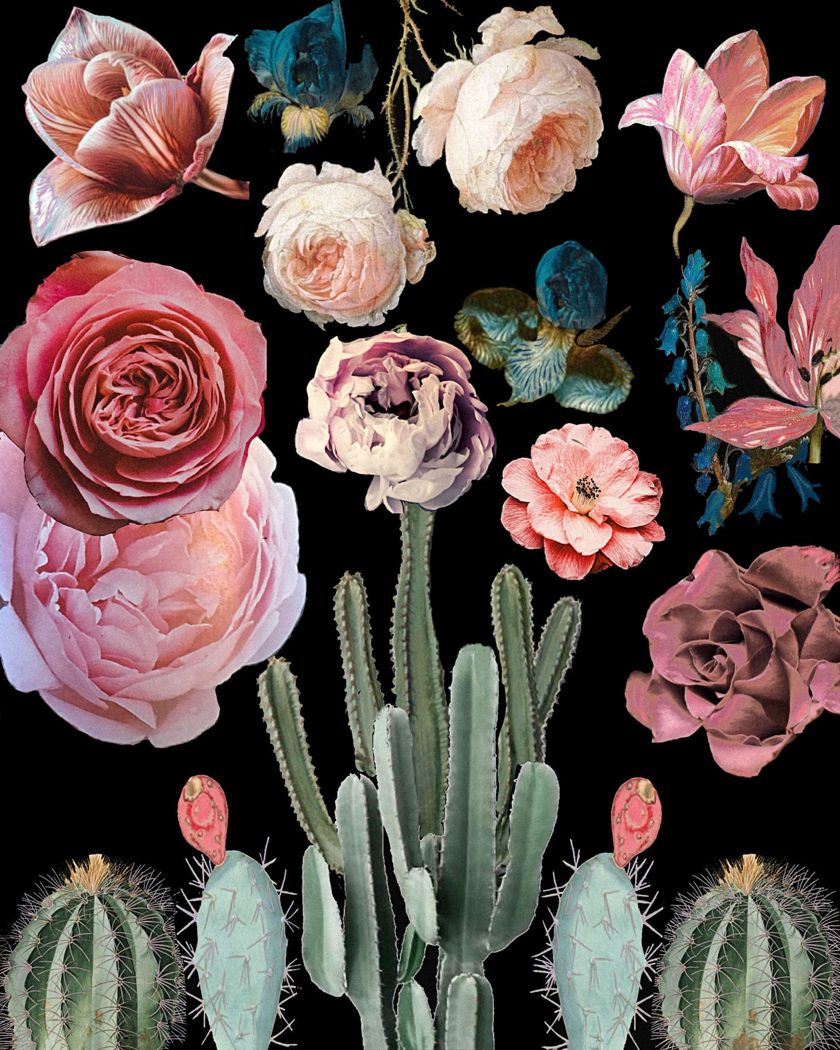 Cacti Floral Blooms Botanical Poster och Canvastavla