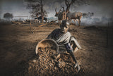 Boy from Mundari collects cow dung Poster och Canvastavla