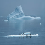 Daily Life in Antarctica Poster och Canvastavla