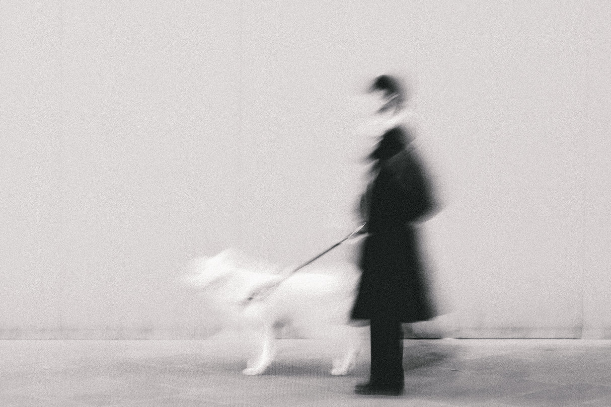Black in too White Poster och Canvastavla