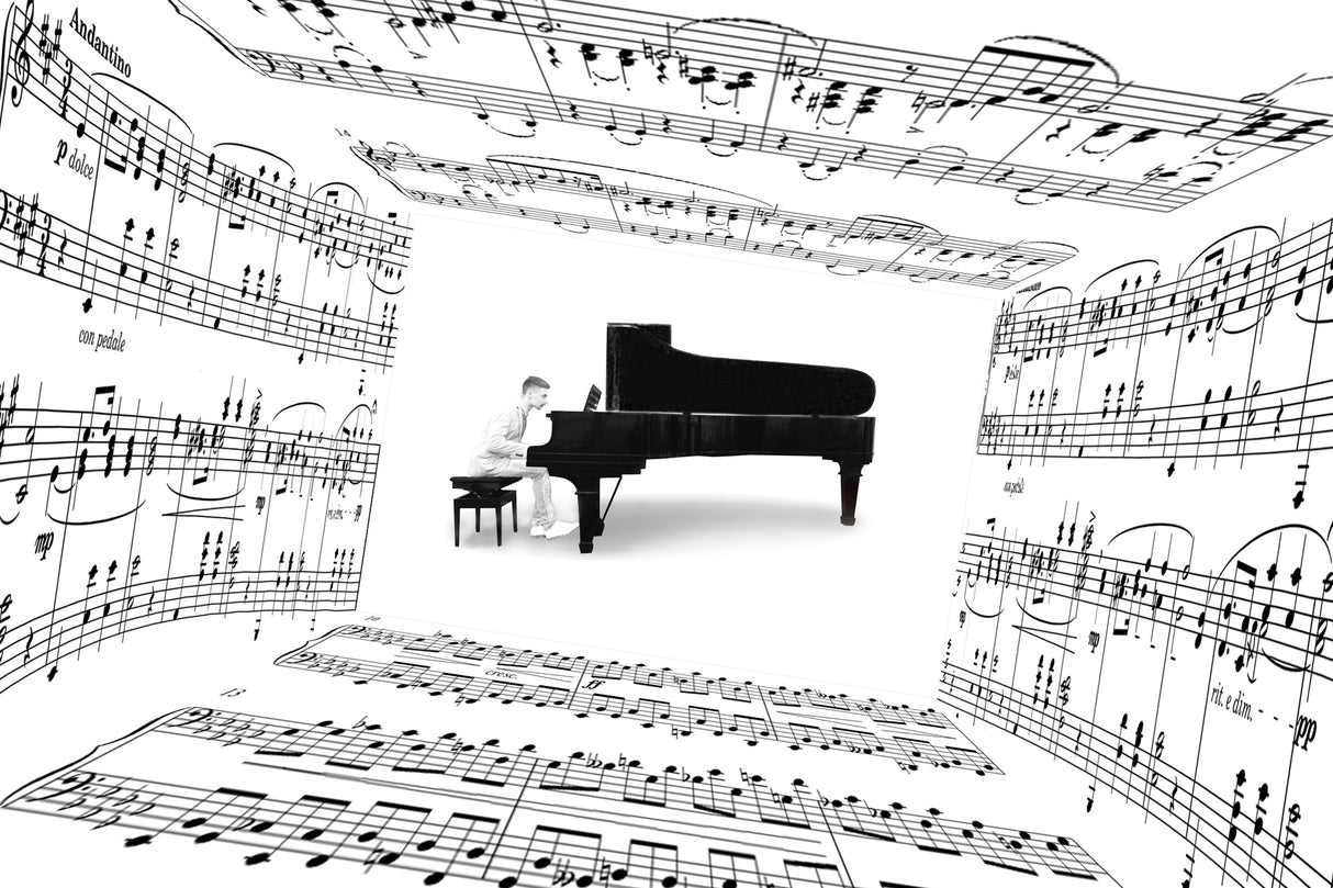 piano player Poster och Canvastavla