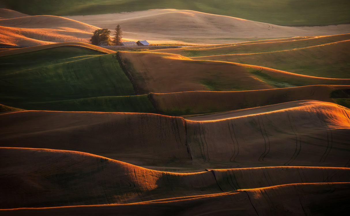 Palouse Fields Poster och Canvastavla