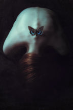 Moth Poster och Canvastavla