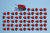 Fresas Poster och Canvastavla