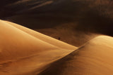 sandstorm Poster och Canvastavla