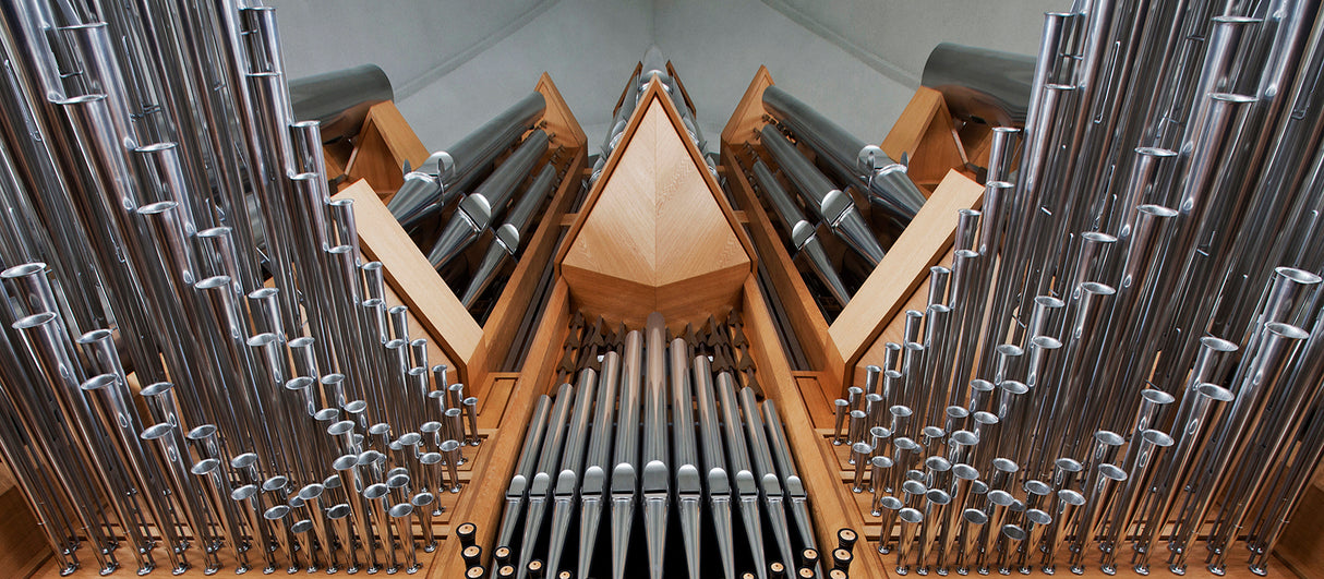 Organ Poster och Canvastavla