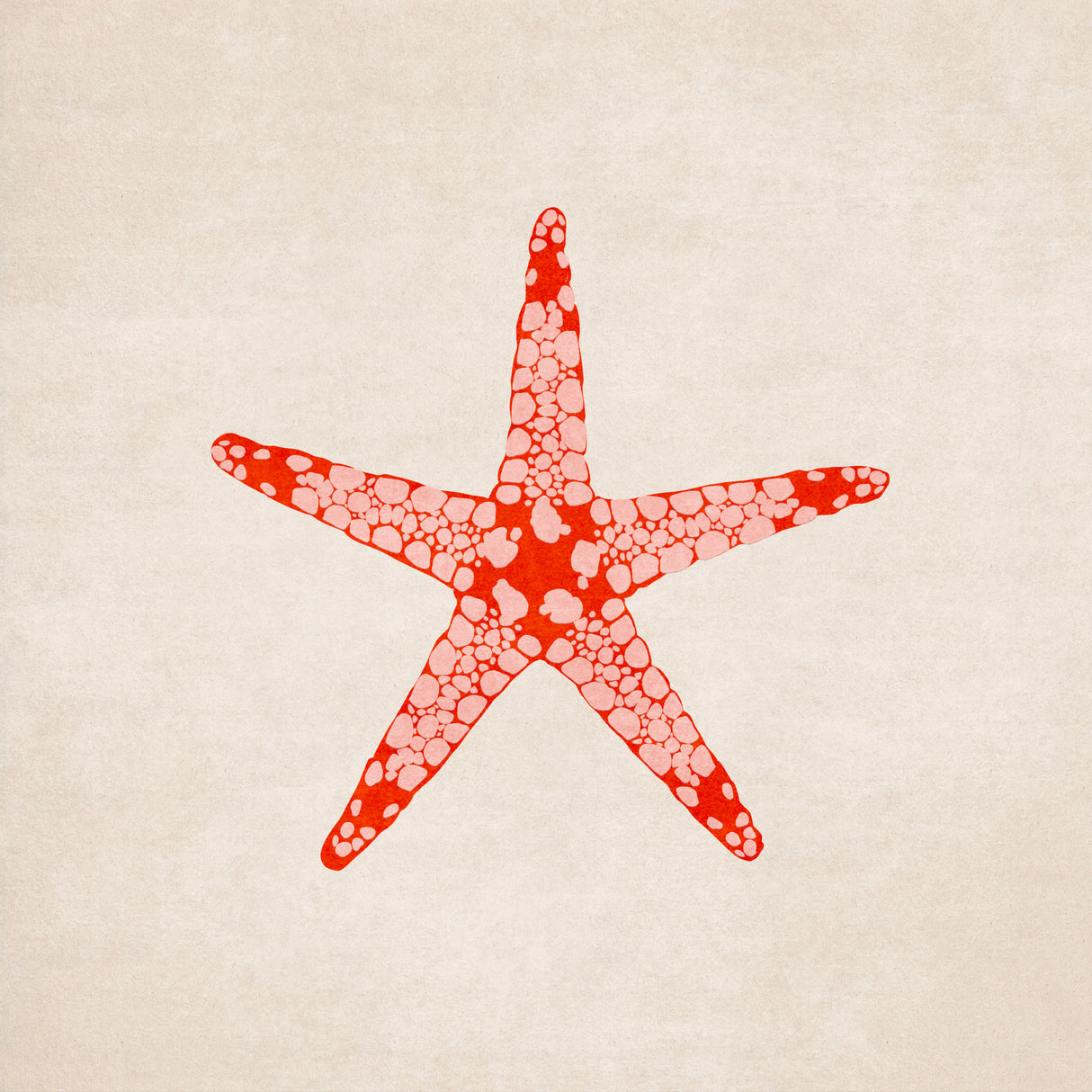 Sea Star Poster och Canvastavla