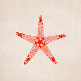 Sea Star Poster och Canvastavla