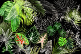 Tropical Foliage 04 Poster och Canvastavla