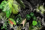 Tropical Foliage 04 Poster och Canvastavla