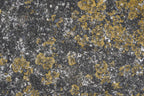 Tex Surface S29 Poster och Canvastavla