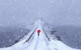 Red in white Poster och Canvastavla