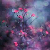 One day I saw flowers singing... Poster och Canvastavla