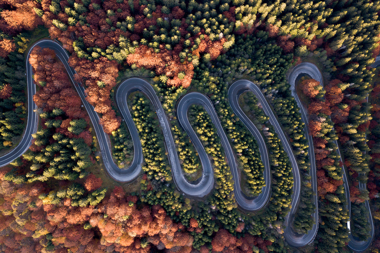 The beautiful road Poster och Canvastavla