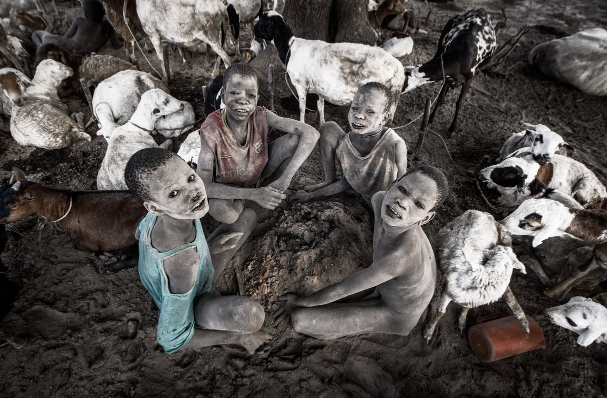 Children at a mundari cattle camp. Poster och Canvastavla