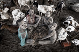 Children at a mundari cattle camp. Poster och Canvastavla