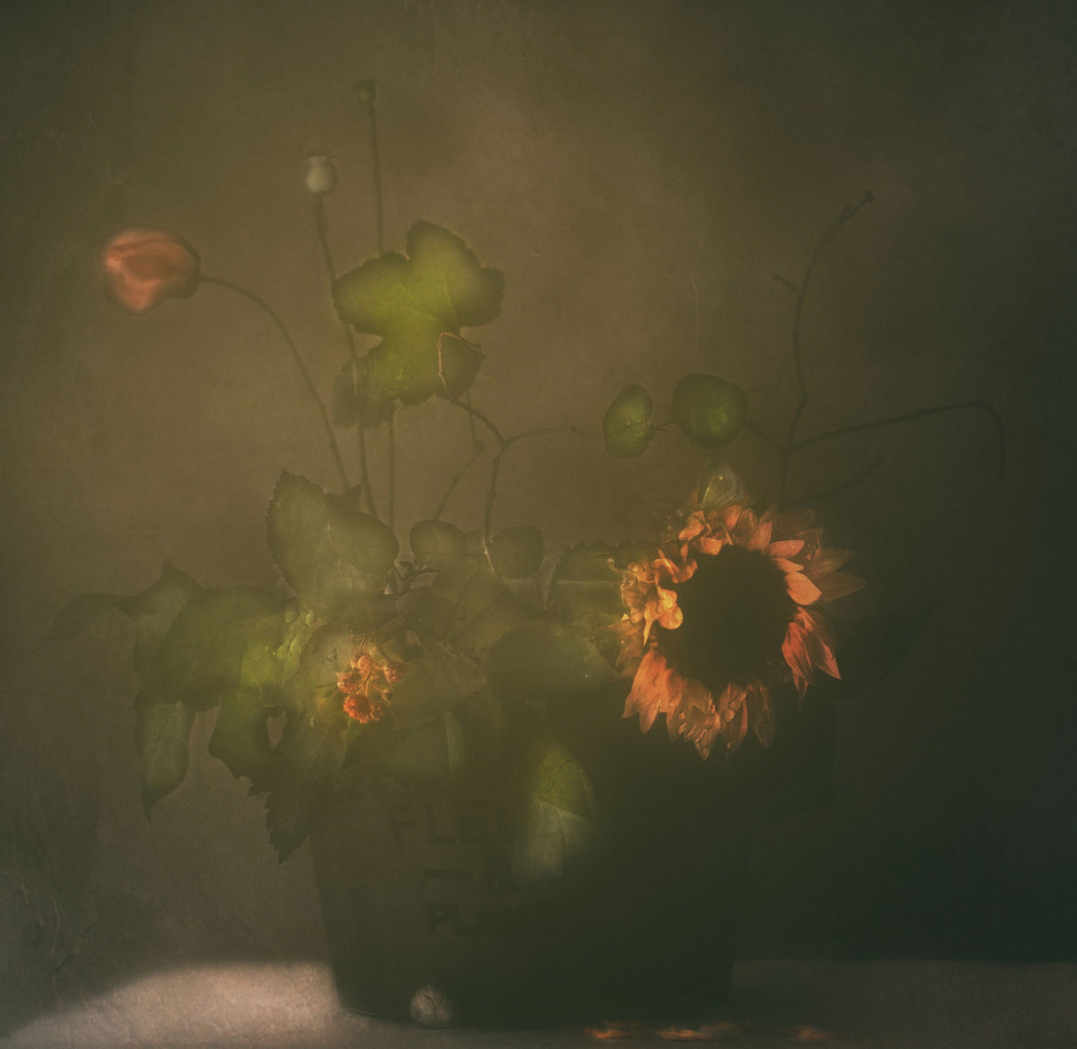 Tears of Sunflower Poster och Canvastavla