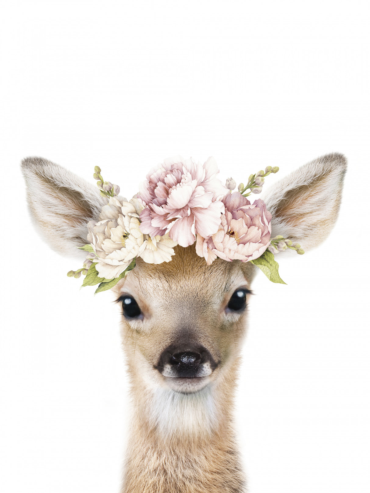 Floral Baby Deer Poster och Canvastavla