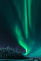 Polar lights Poster och Canvastavla