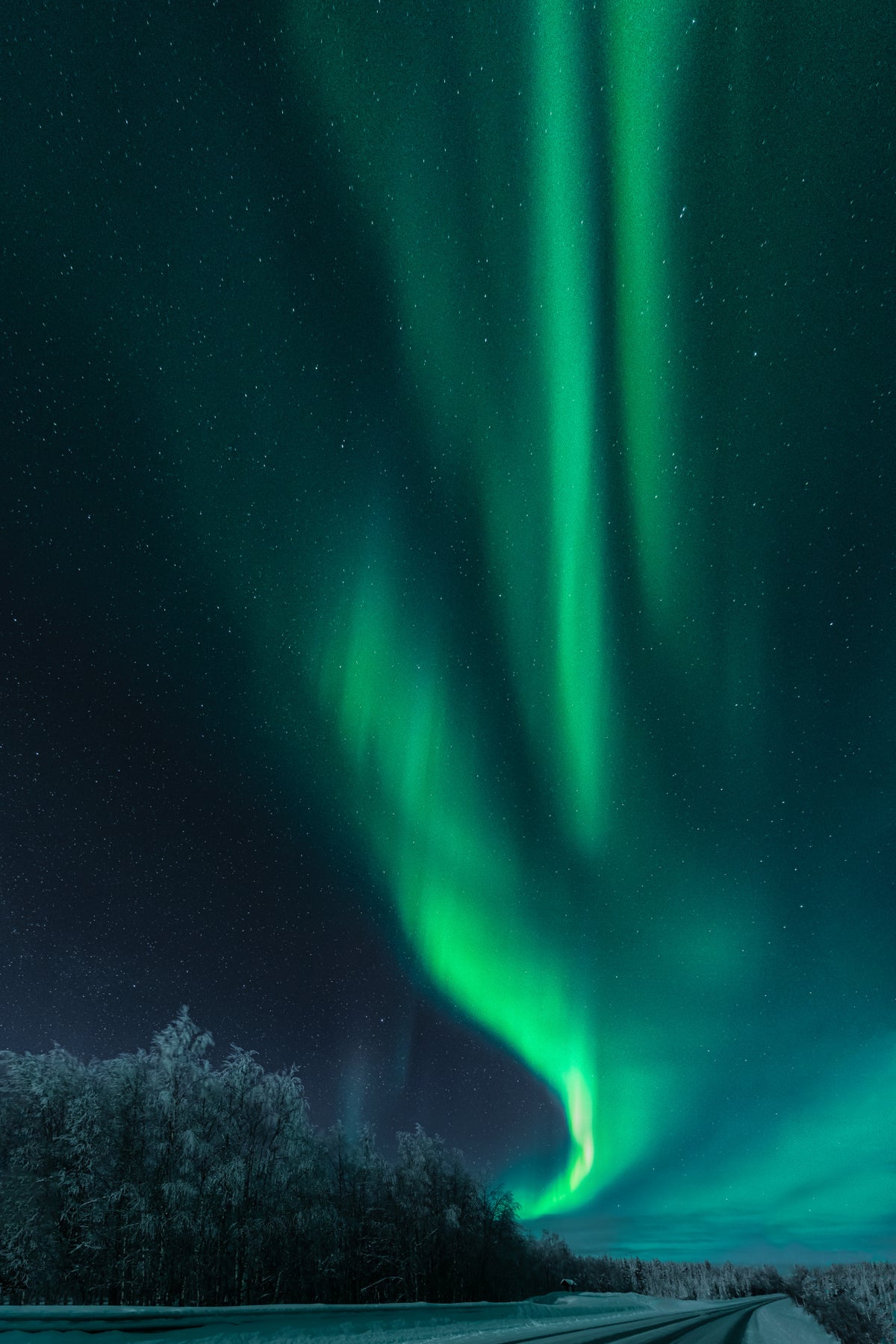 Polar lights Poster och Canvastavla