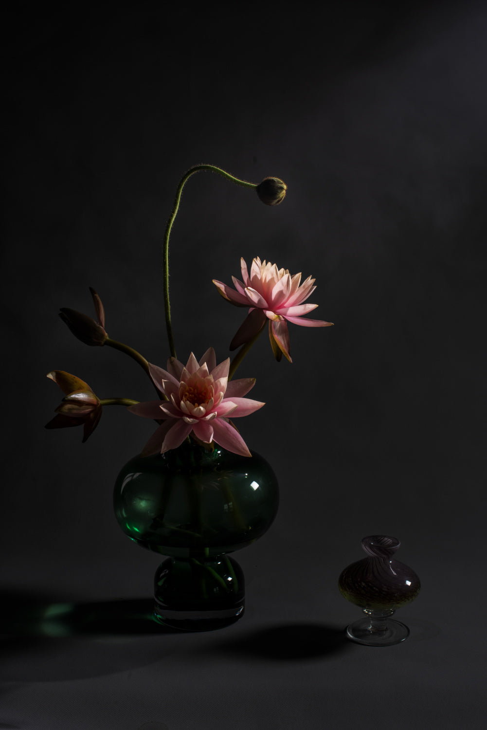 lotus Poster och Canvastavla