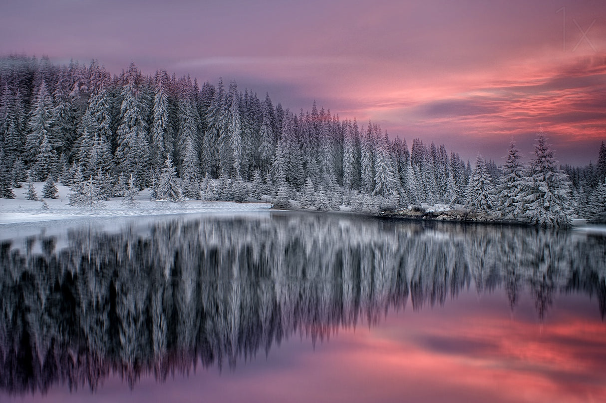 Winter Fairytale Poster och Canvastavla