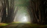 Light at the end of the tunnel Poster och Canvastavla