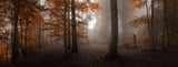 Autumn Poster och Canvastavla