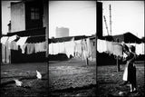 white laundry Poster och Canvastavla
