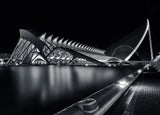 Calatrava's City Poster och Canvastavla