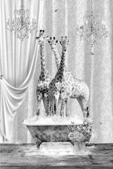 Three Giraffes &amp; Bubbles Black &amp; White Poster och Canvastavla