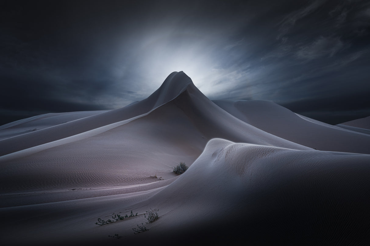 Here comes the sandstorm Poster och Canvastavla