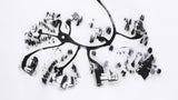 Neuron Poster och Canvastavla