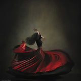 The girl &amp; dance Poster och Canvastavla