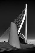 The harp Poster och Canvastavla