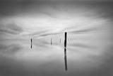 calm in the salt flats Poster och Canvastavla